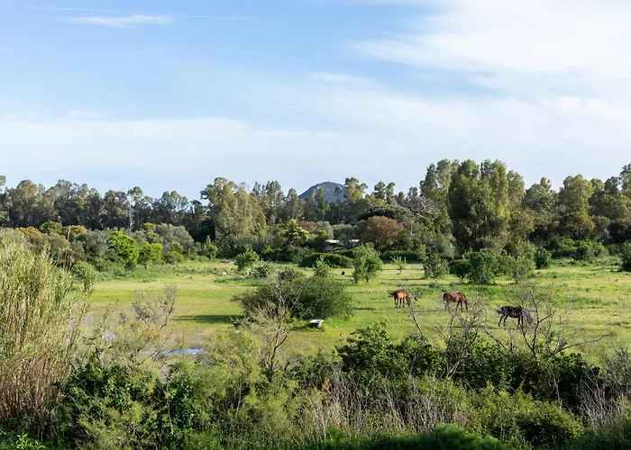 La Cle Terrasse, Proche Port,centre, Parking,clim